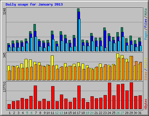 Daily usage for January 2013