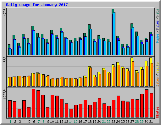 Daily usage for January 2017