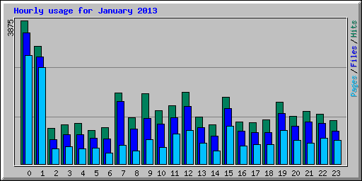 Hourly usage for January 2013