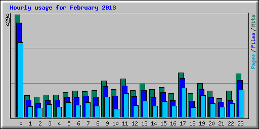 Hourly usage for February 2013