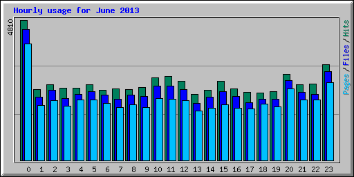 Hourly usage for June 2013