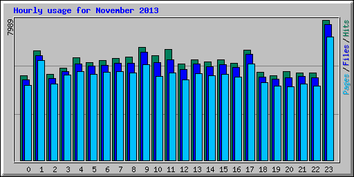 Hourly usage for November 2013