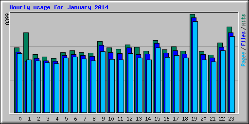 Hourly usage for January 2014