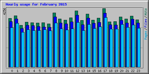 Hourly usage for February 2015