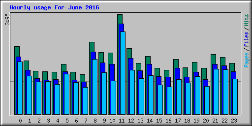 Hourly usage for June 2016