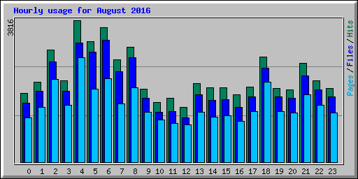 Hourly usage for August 2016
