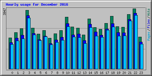 Hourly usage for December 2016