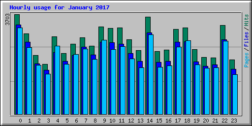 Hourly usage for January 2017